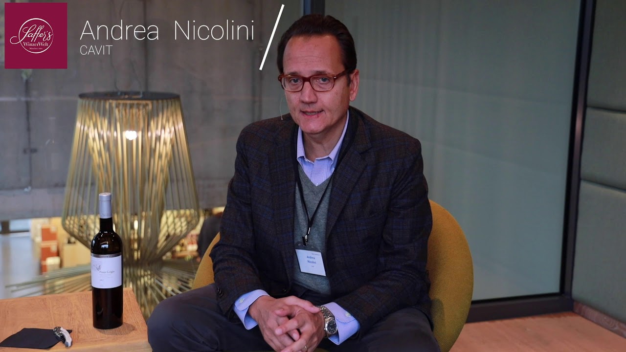 Pinot Grigio Trentino DOC Bottega Vinai Trentin Weißwein trocken