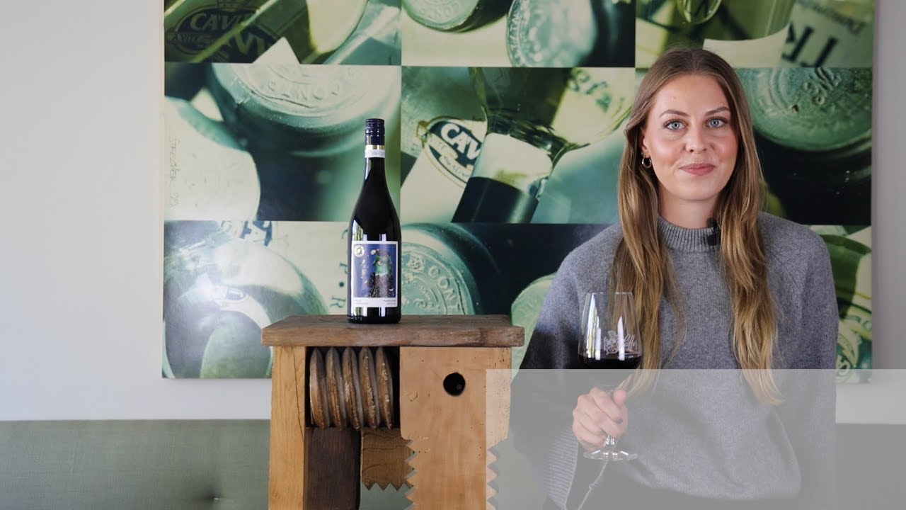 Bio-Merlot Veneto IGT Libellula Pizzolato Venetien Rotwein trocken