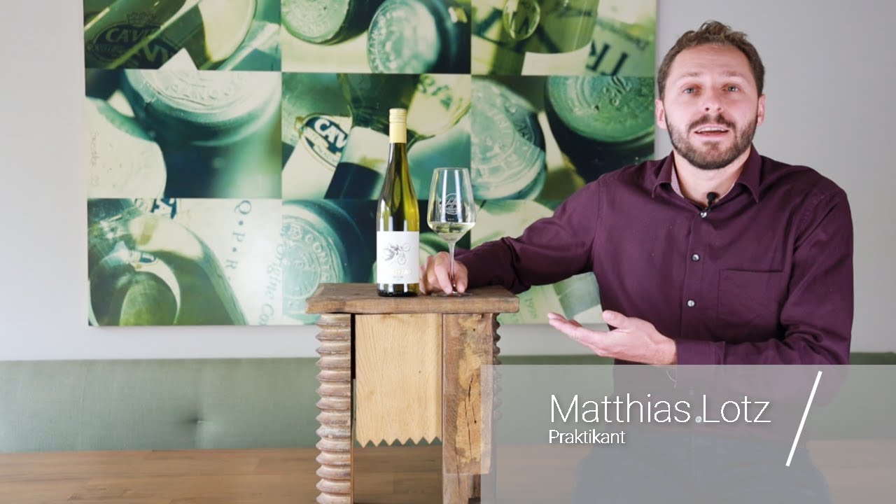 Schräglage Riesling Kabinett trocken Pfalz Weißwein