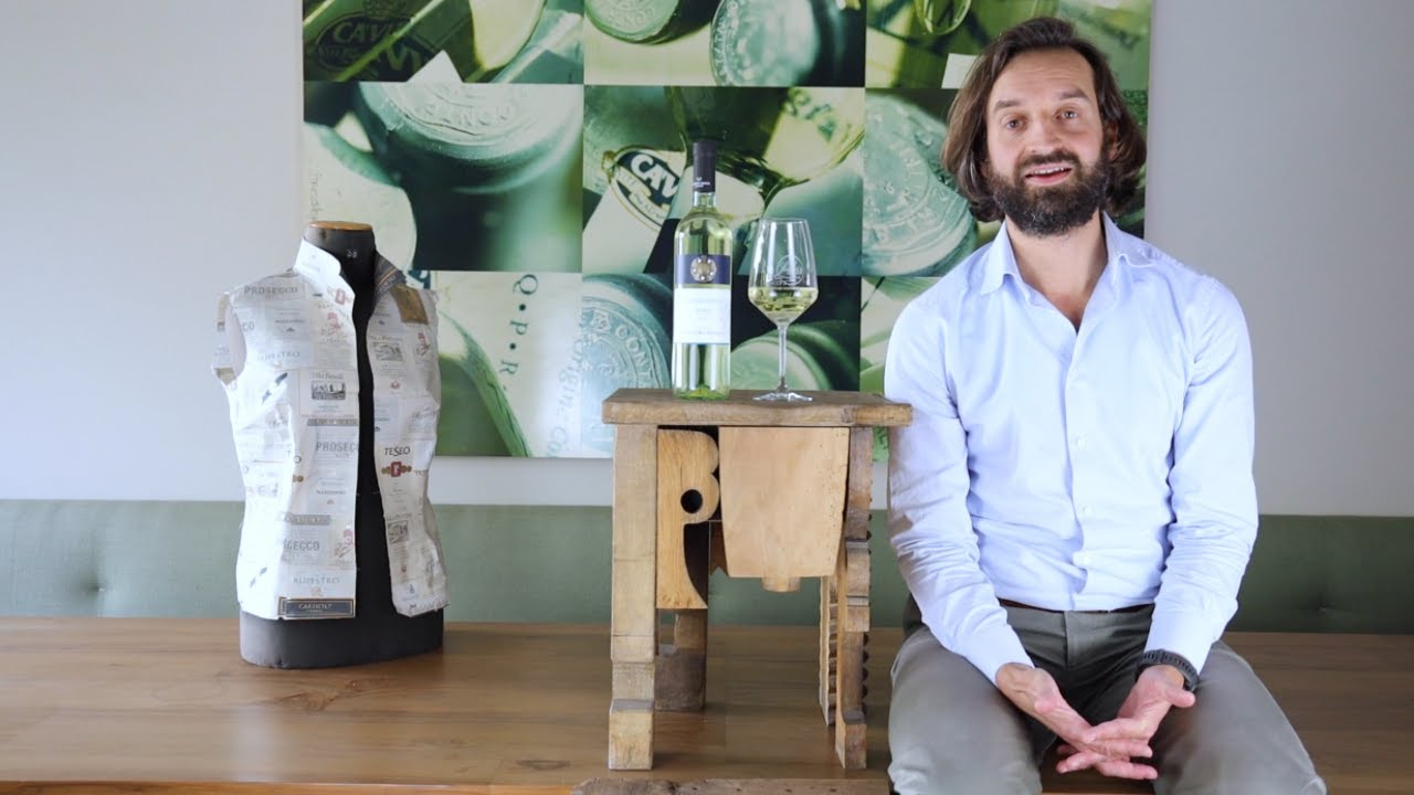 Bio-Chardonnay Sicilia DOC Colomba Bianca Sizilien Weißwein trocken