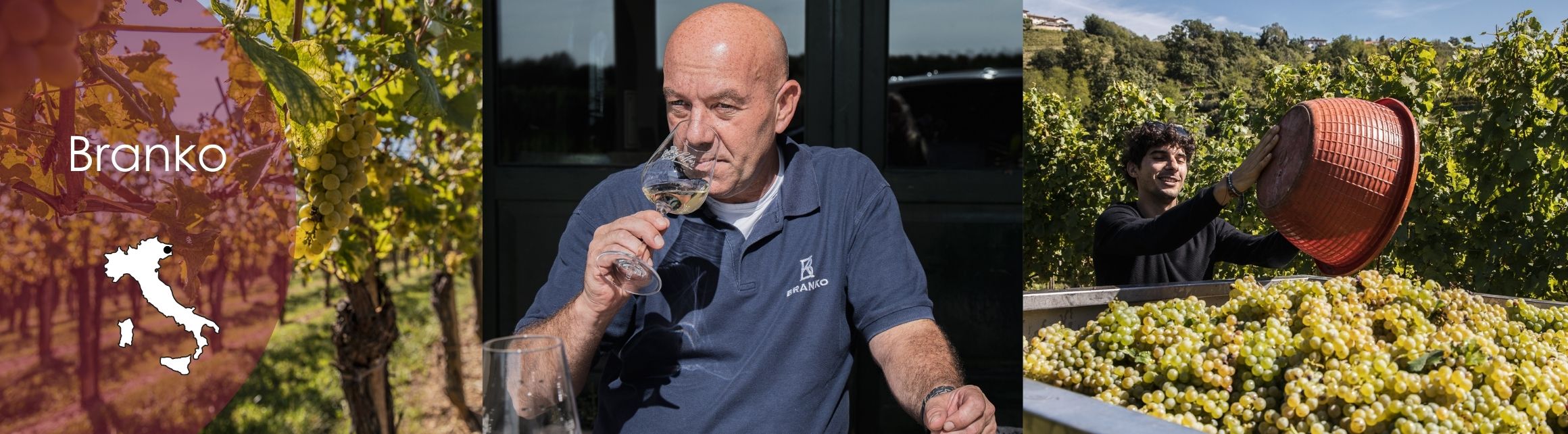 Branko