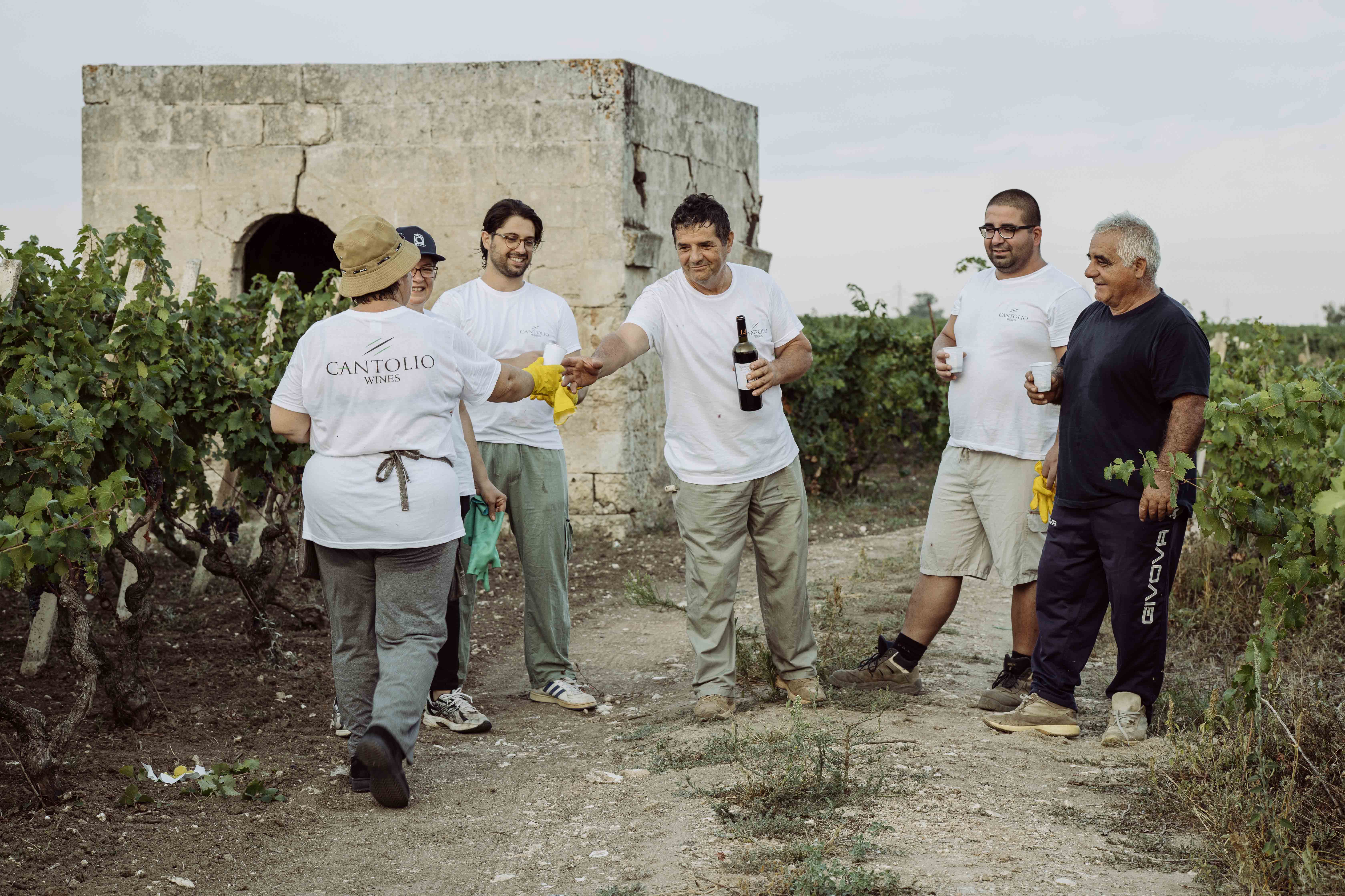 Primitivo Negroamaro Puglia IGT 14 Contessa Marina Apulien Rotwein halbtrocken