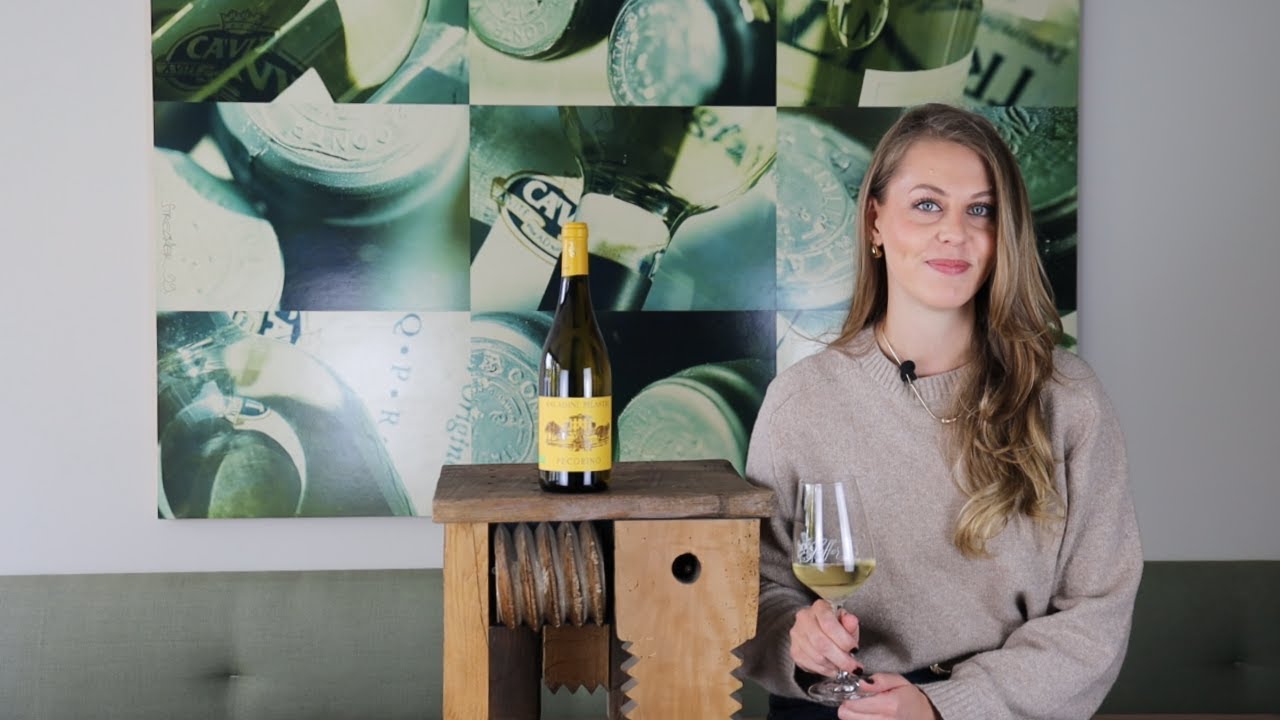 Pecorino Falerio DOC Saladini Pilastri BIO Marken Italien Weißwein trocken