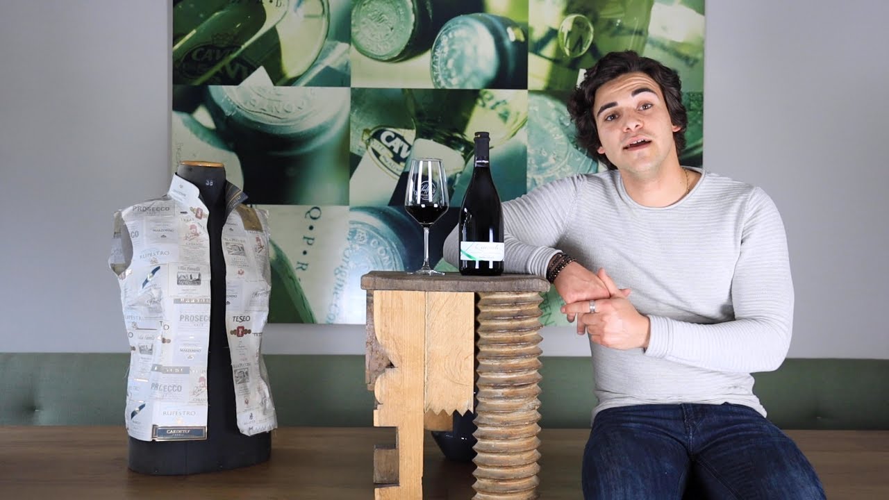 Lambrusco Reggiano DOC Quercioli Medici Ermete Emilia Romagna Perlwein trocken