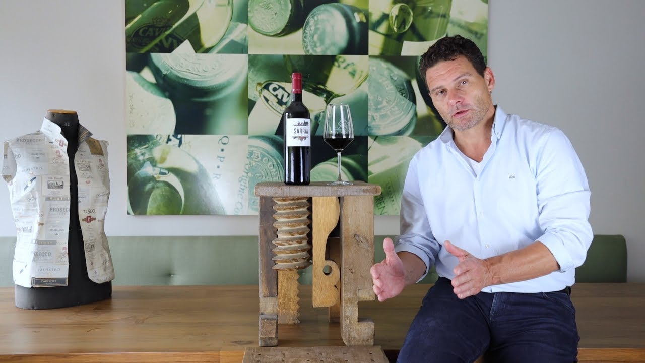 Crianza Navarra DO Señorio de Sarría Rotwein trocken