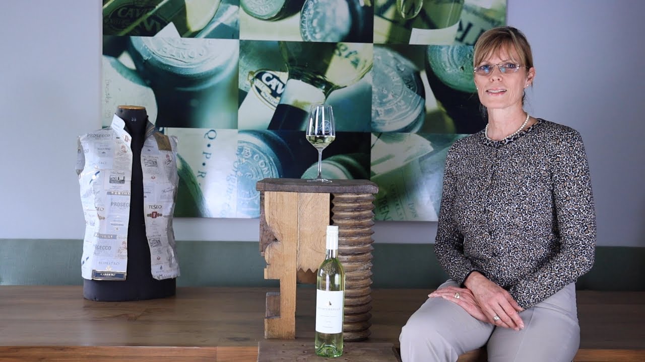 Sauvignon Blanc Südsteiermark DAC Schneeberger Weißwein trocken