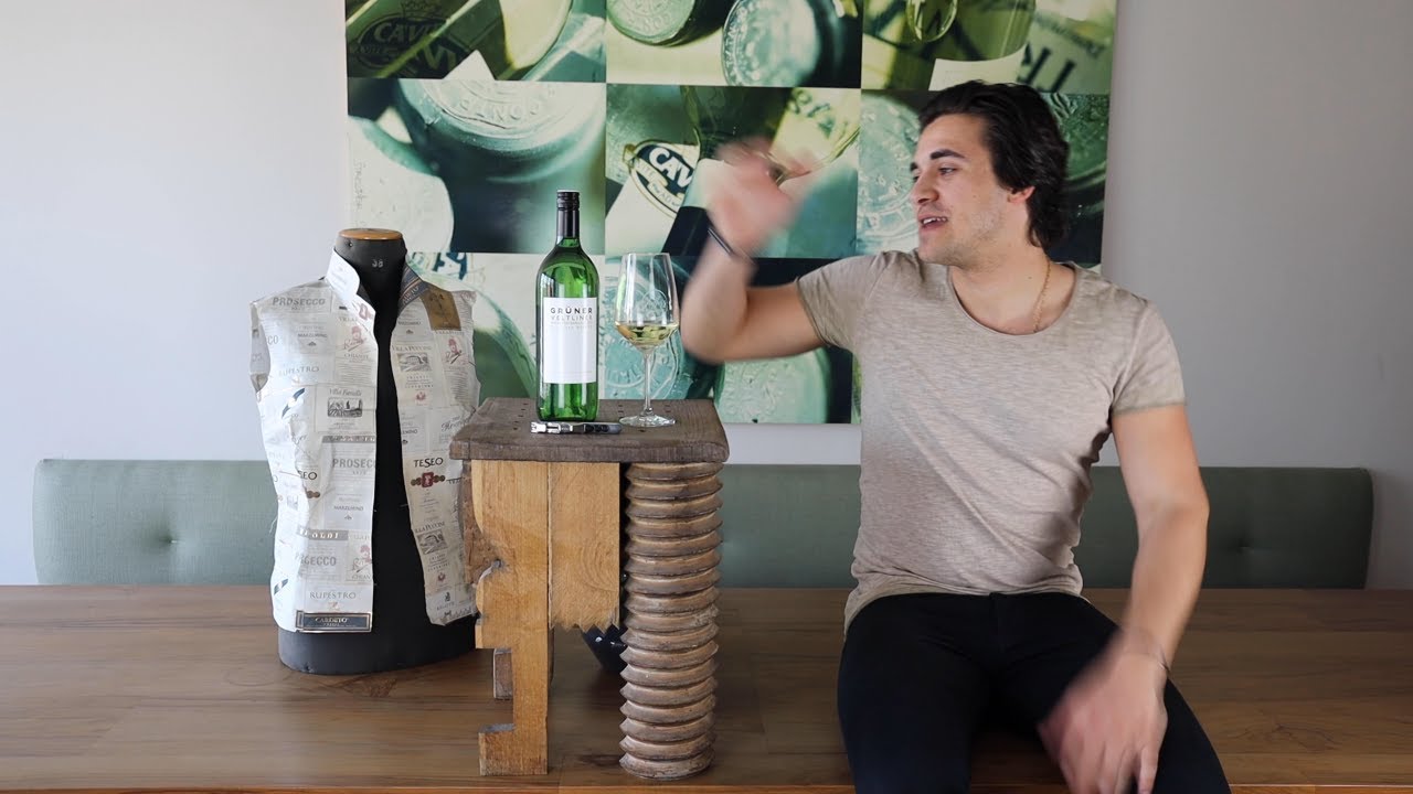 Heuriger Grüner Veltliner QUW 1,0l Niederösterreich Aigner Weißwein trocken