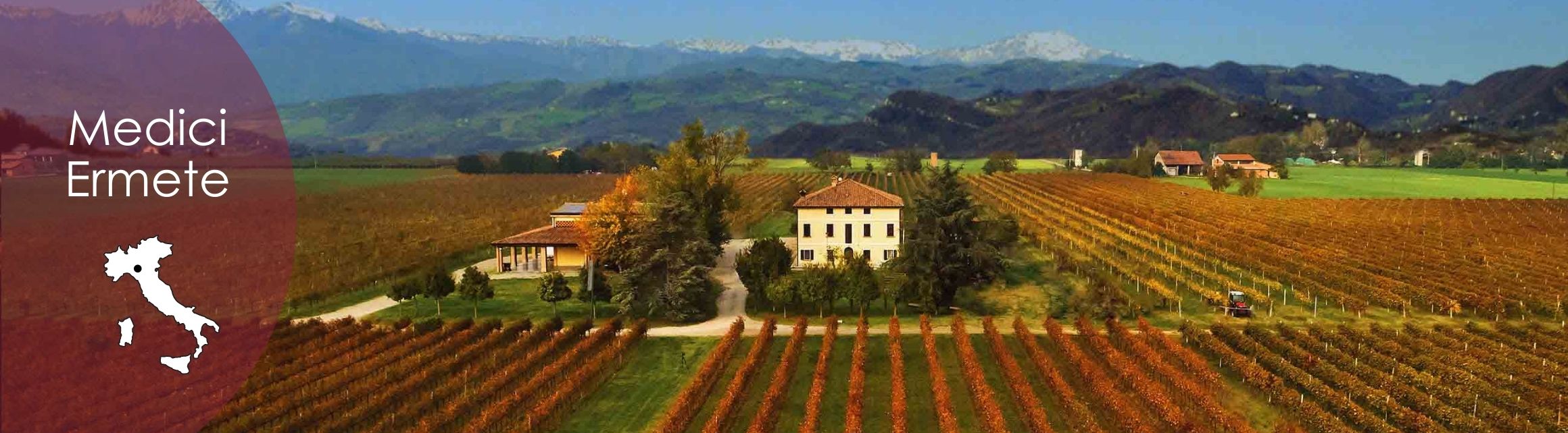 Medici Ermete