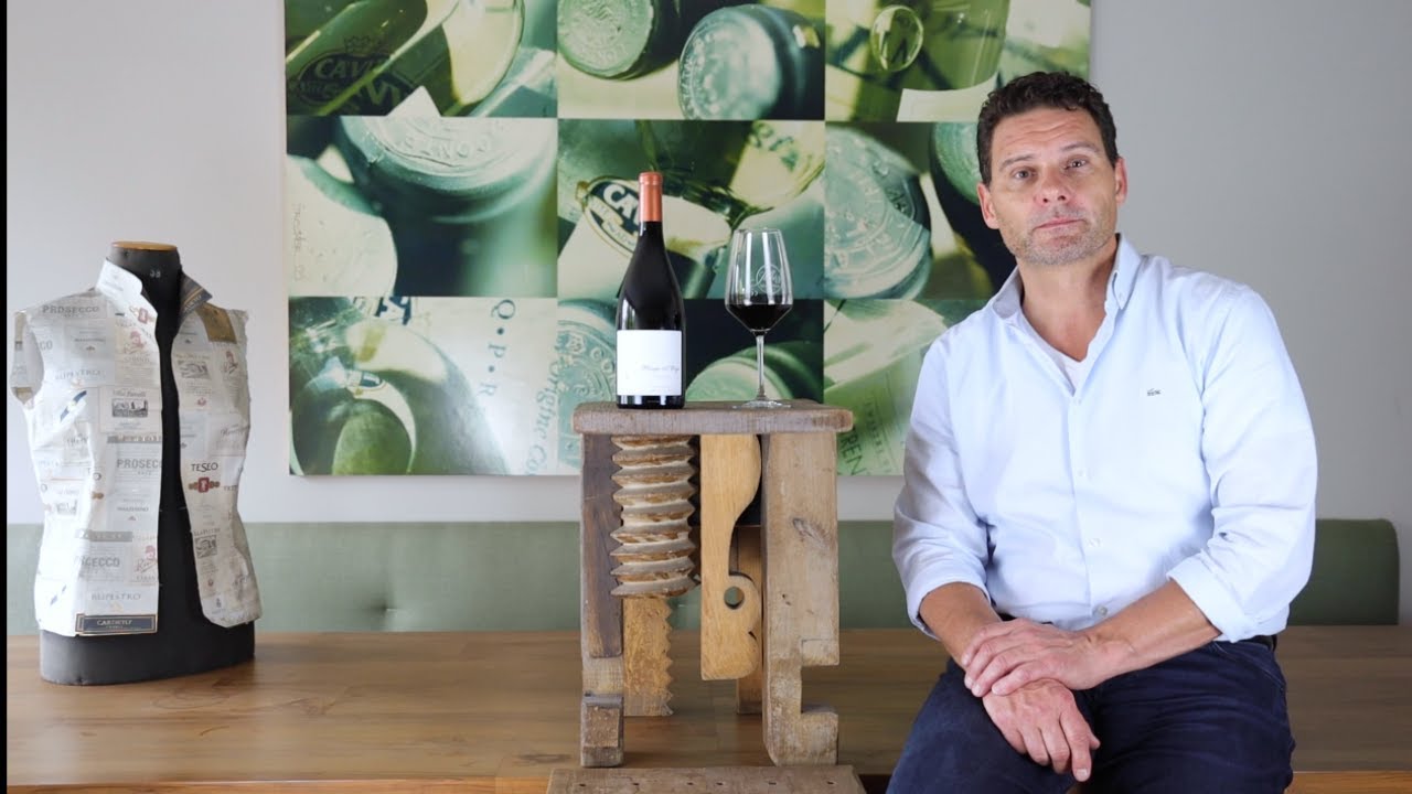 Manga del Brujo Calatayud DO San Gregorio Rotwein trocken