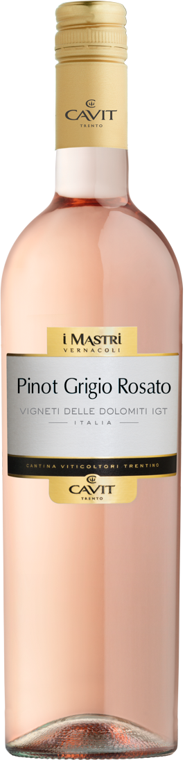 Pinot Grigio Rosato IGT delle Dolomiti Mastri Vernacoli Cavit Trentin Roséwein trocken
