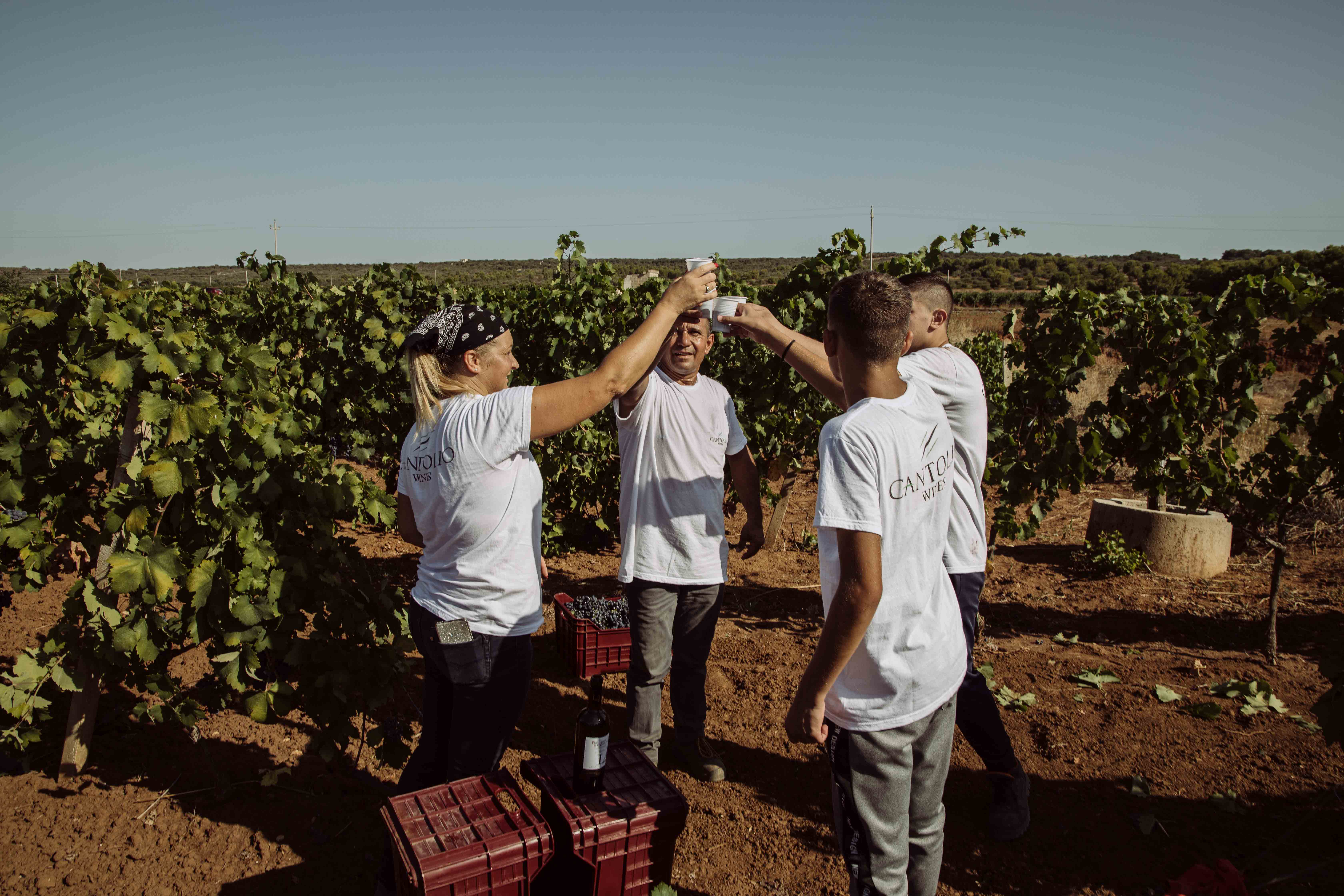 Passione di Puglia BIO Bianco IGT 14 Contessa Marina Weißwein Apulien trocken