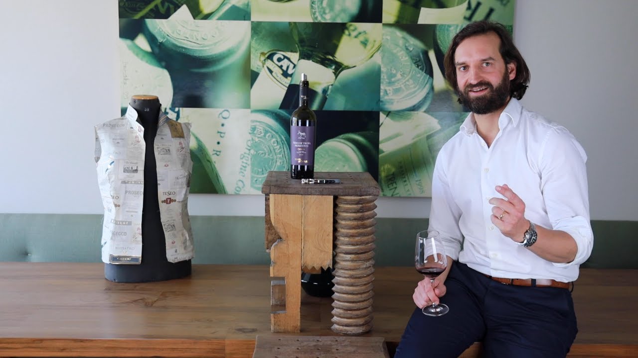 Nero di Troia Primitivo Puglia IGT Luce del Sole Apulien Rotwein trocken