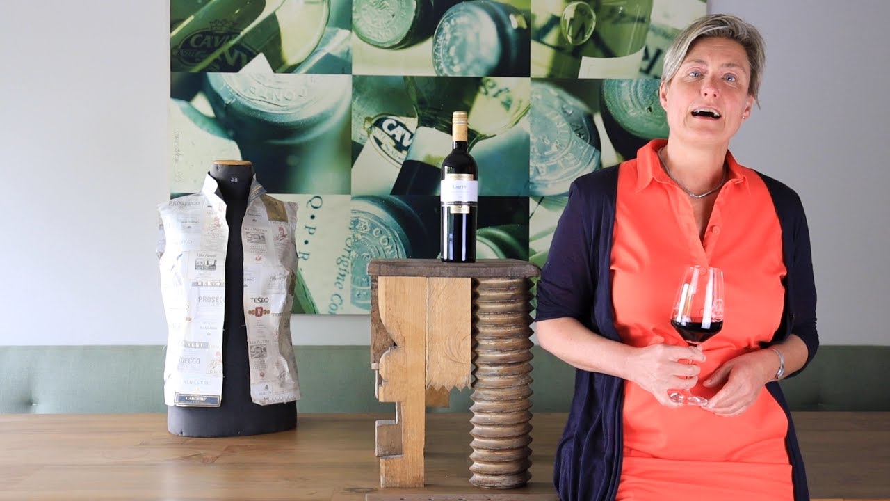 Lagrein Trentino DOC Mastri Vernacoli Cavit Trentin Rotwein trocken