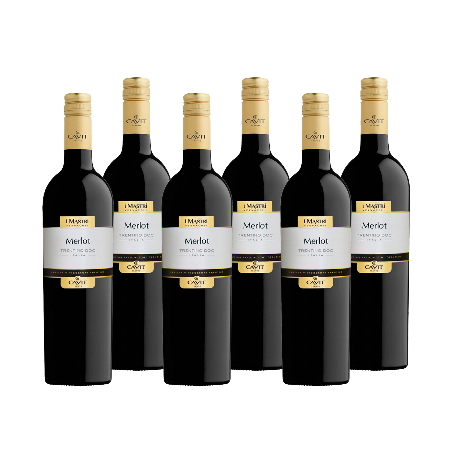 Merlot Trentino DOC Mastri Vernacoli Trentin Rotwein trocken (6 x 0,75 l)