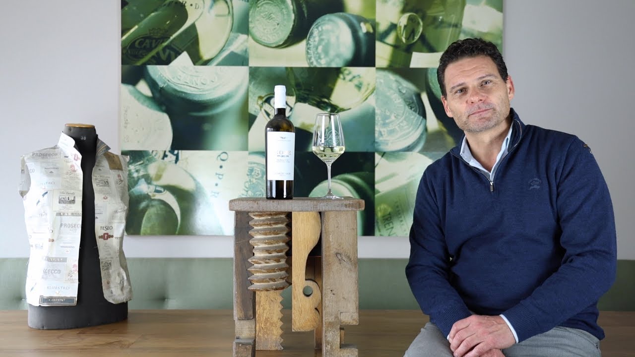 Bio-Chardonnay Terre Siciliane IGP Kore Colomba Bianca Sizilien Weißwein trocken