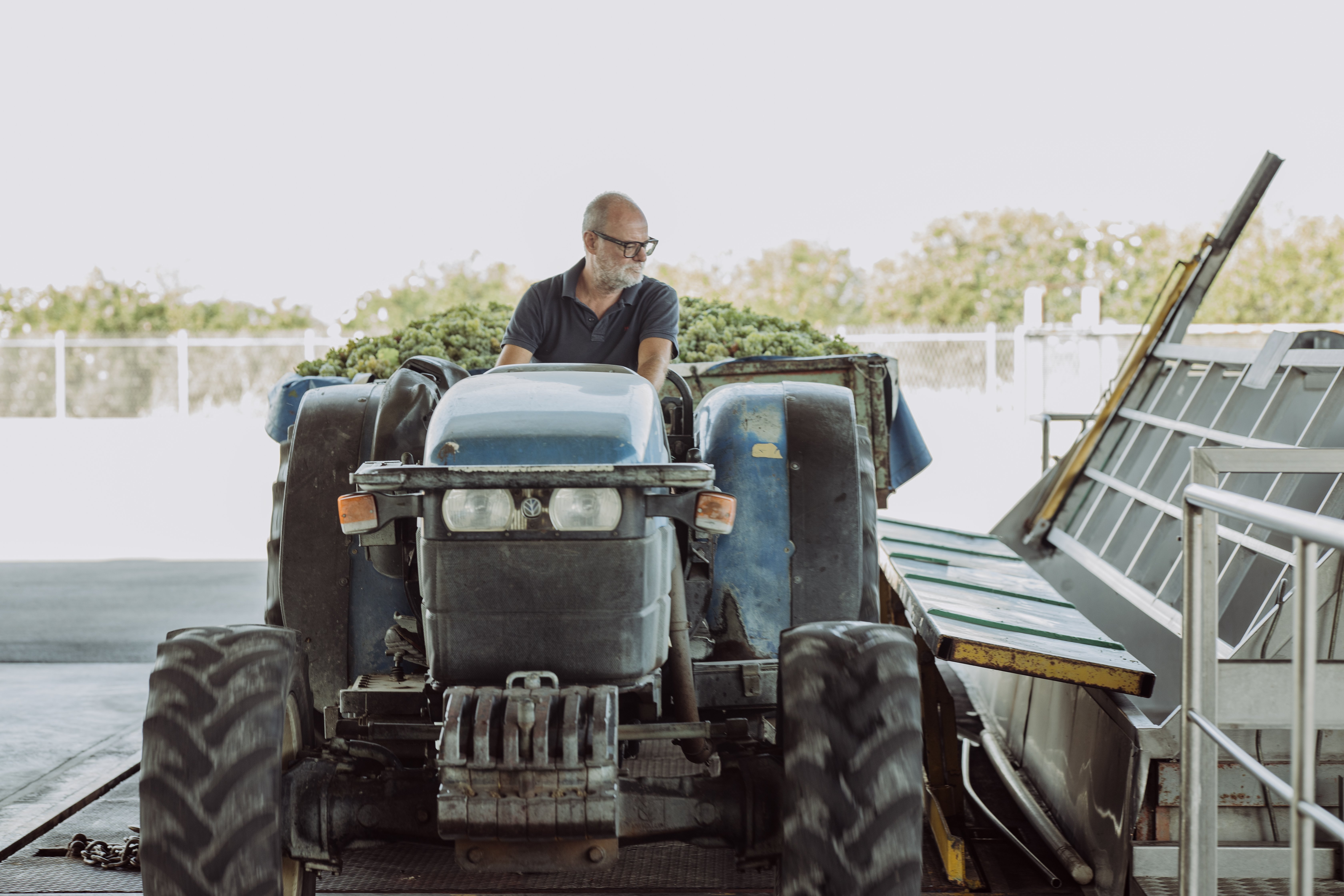 Chardonnay Vino d´Italia Bertoldi Rotondo Venetien Weißwein trocken