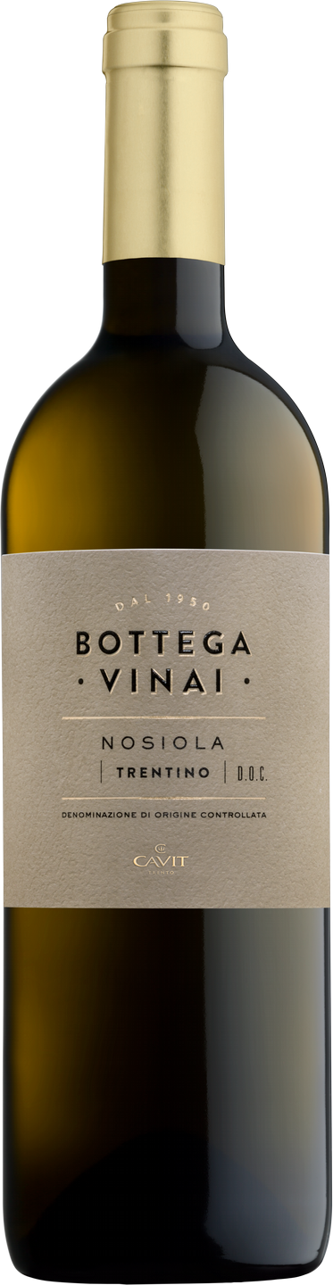 Nosiola Trentino DOC  Bottega Vinai Trentin Weißwein trocken