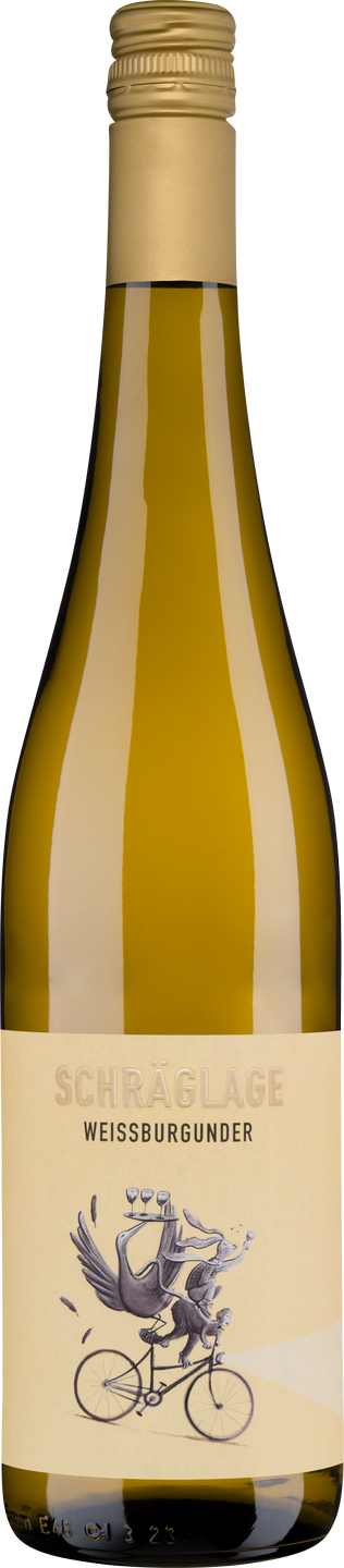 Schräglage Weißburgunder QbA Rheinhessen Deutschland Weißwein trocken