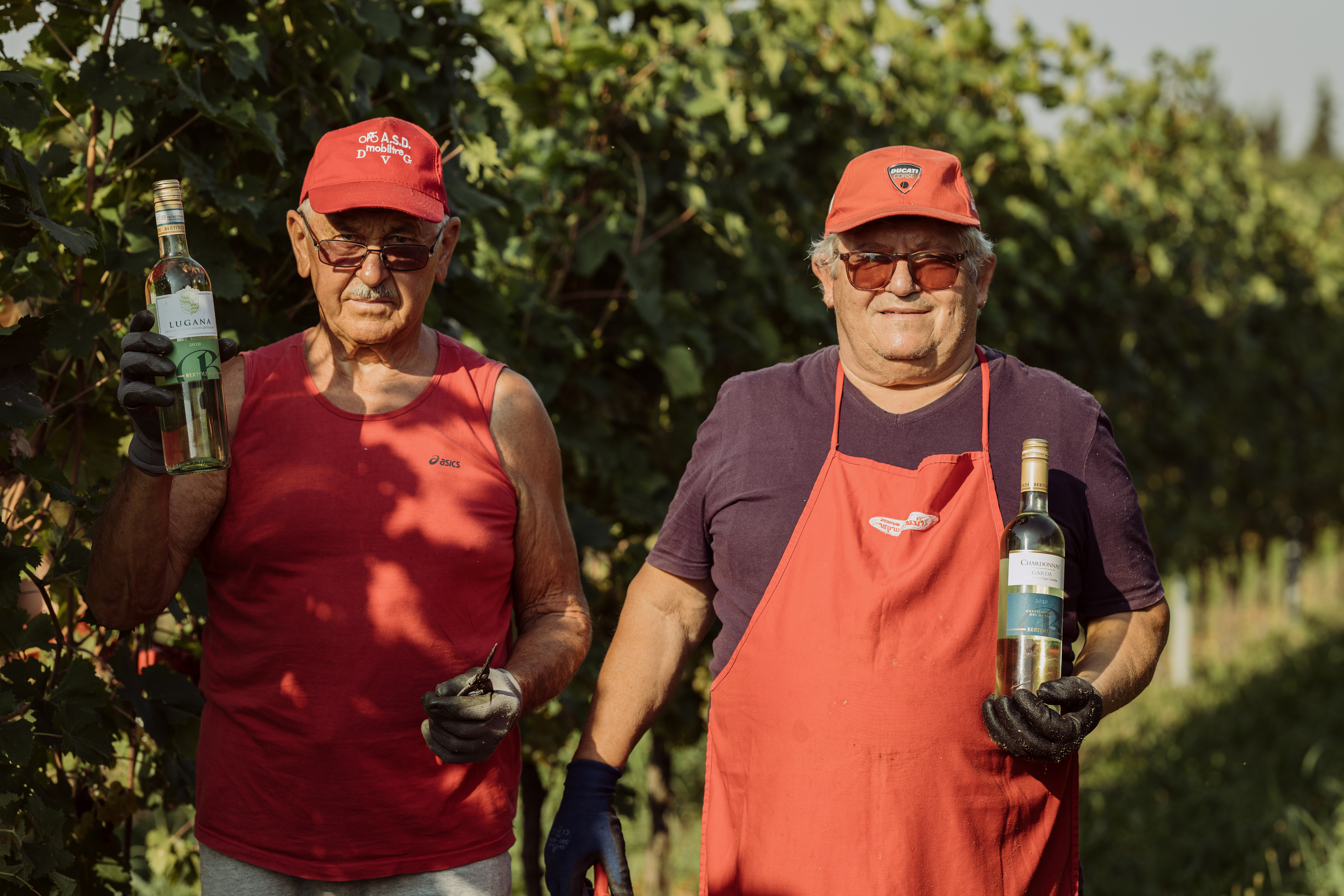 Lugana DOC Bertoldi Venetien Weißwein trocken